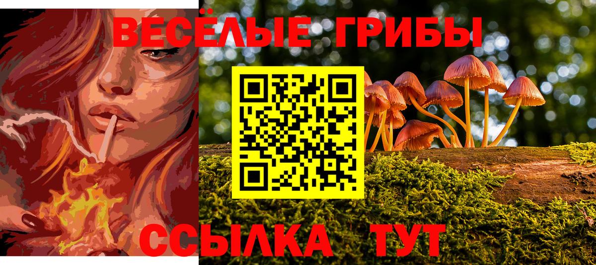 Галлюциногенные грибы GOLDEN TEACHER Ставрополь