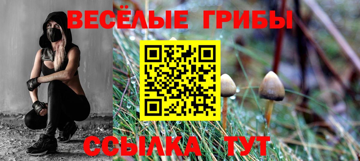 Галлюциногенные грибы Cubensis  Вход с VPN  Ставрополь 